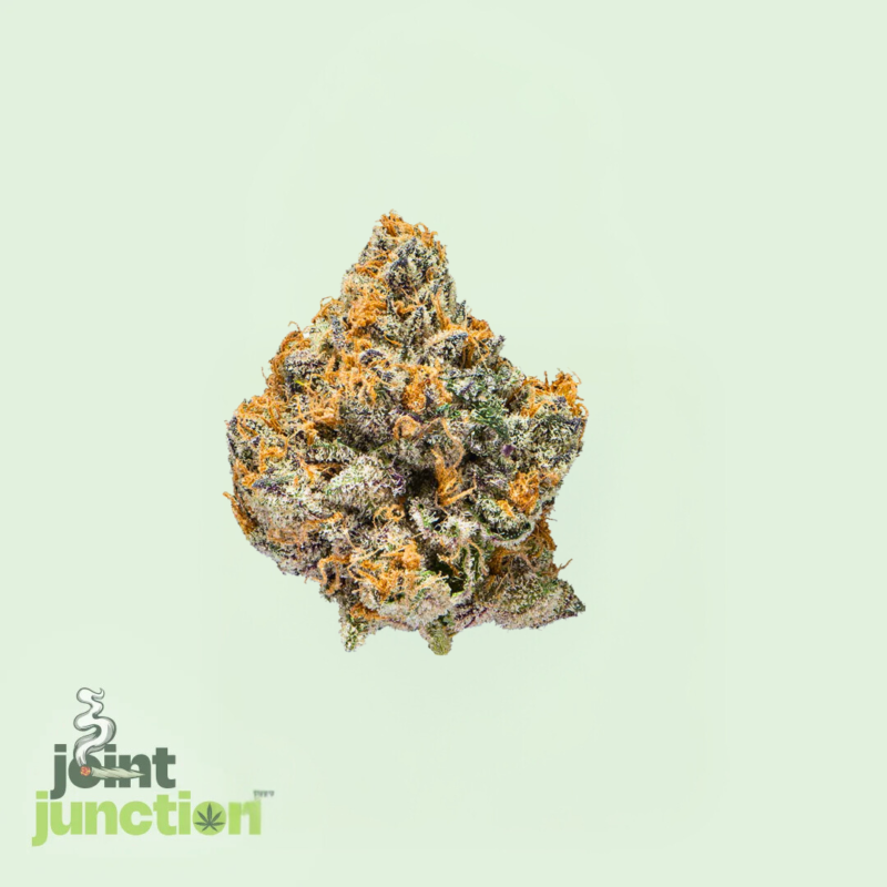 White Guava - Sativa | 32.98% THC [Exotic]
