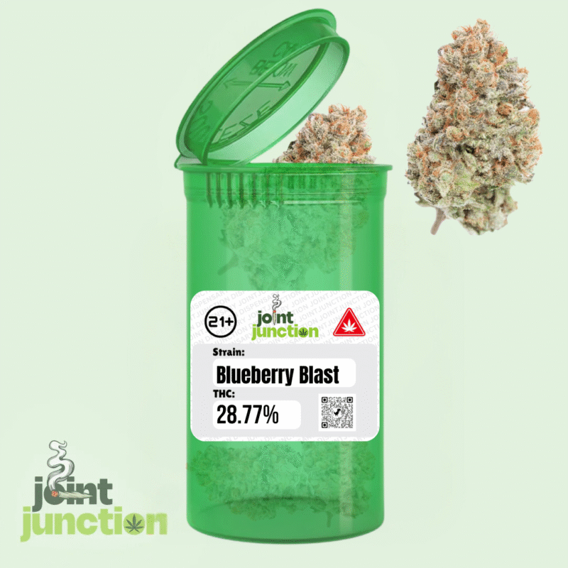 Blueberry Blast - Sativa Hybrid | 28.77% THC [Exotic]