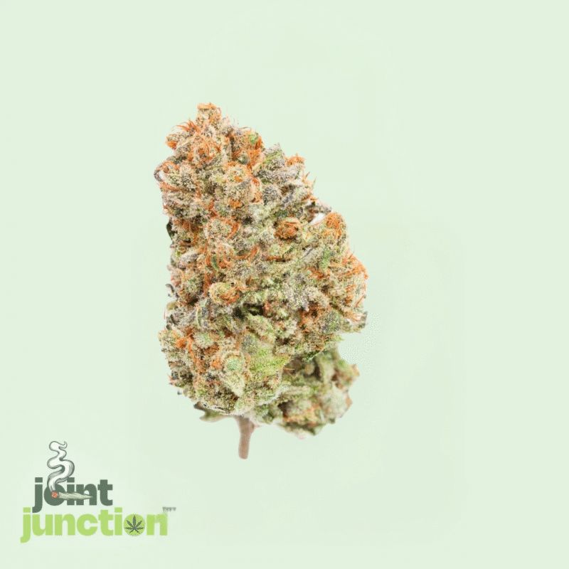 Blueberry Blast - Sativa Hybrid | 28.77% THC [Exotic] - Image 2