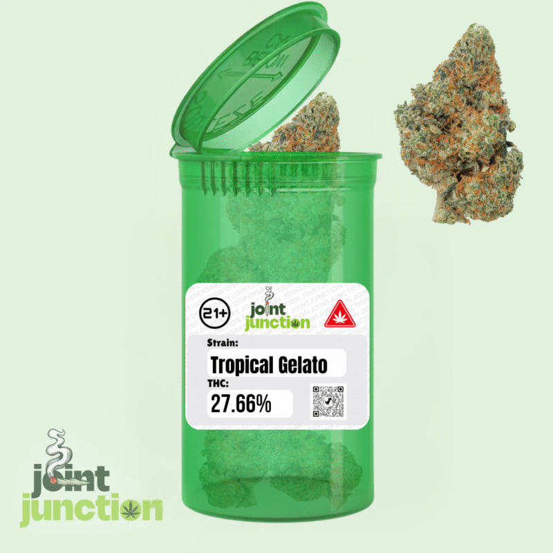 Tropical Gelato - Hybrid | 27.66% THC [Exotic]