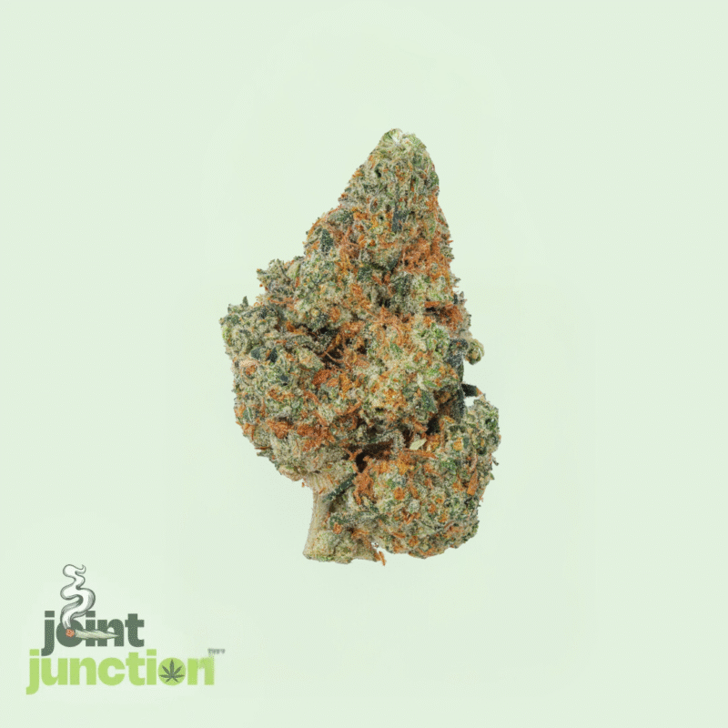 Tropical Gelato - Hybrid | 27.66% THC [Exotic] - Image 2