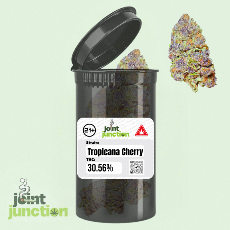 Tropicana Cherry - Sativa | 30.56% THC [Premium]