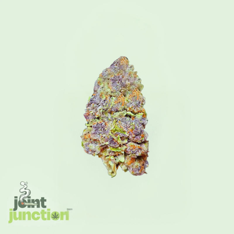 Tropicana Cherry - Sativa | 30.56% THC [SELLOUT STRAIN] - Image 2