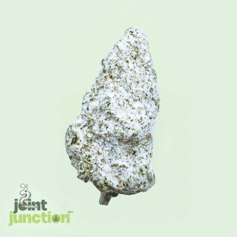 White Widow Snowcaps - Indica Hybrid | 60.87% THC [Top Shelf]