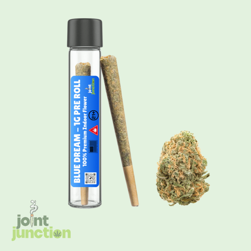 Blue Dream Pre Roll | Sativa - 23.31% THC