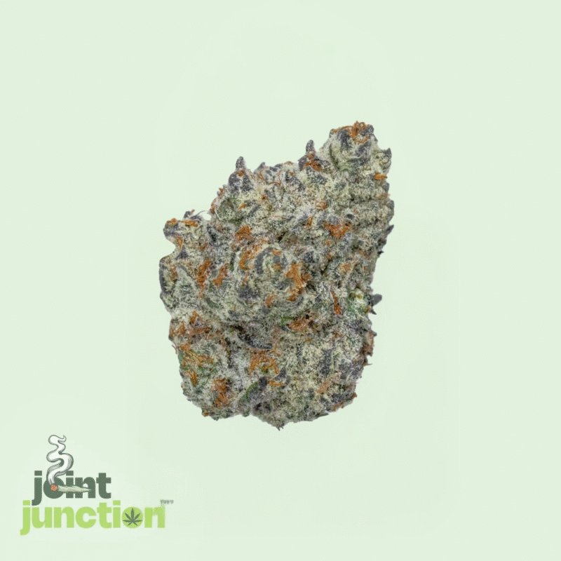 Gary Runtz - Hybrid | 26.66% [Exotic] - Image 2
