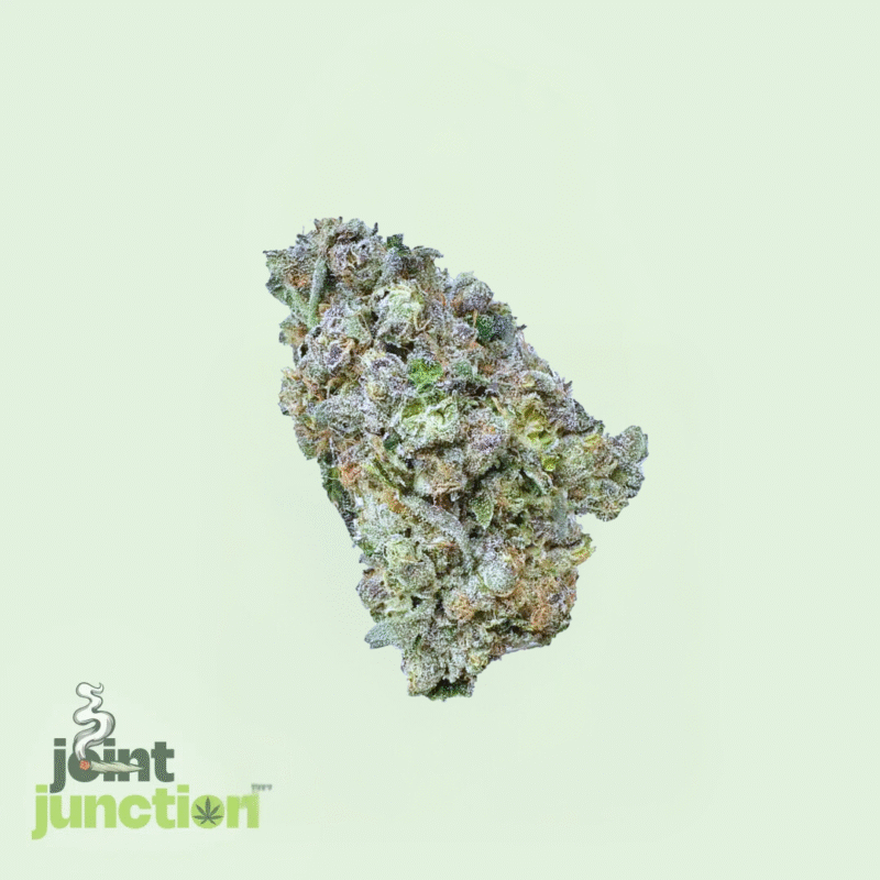Ice Cream Cake - Indica | 24.37% [Premium] - Image 2