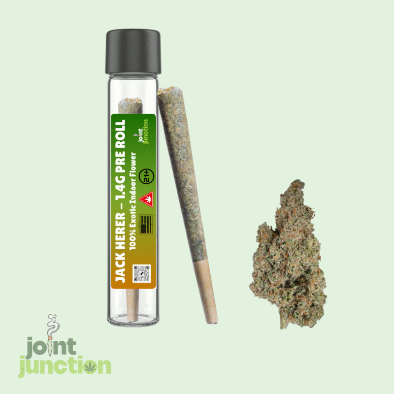 Jack Herer Pre Roll | Hybrid | 26.87% THC