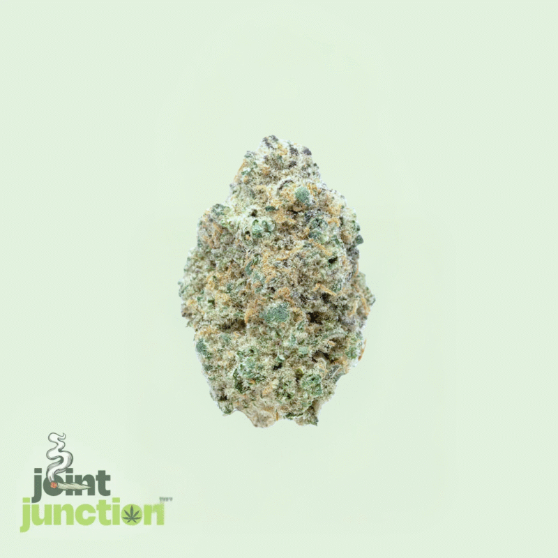 Mimosa - Sativa | 27.10% THC [Premium] - Image 2