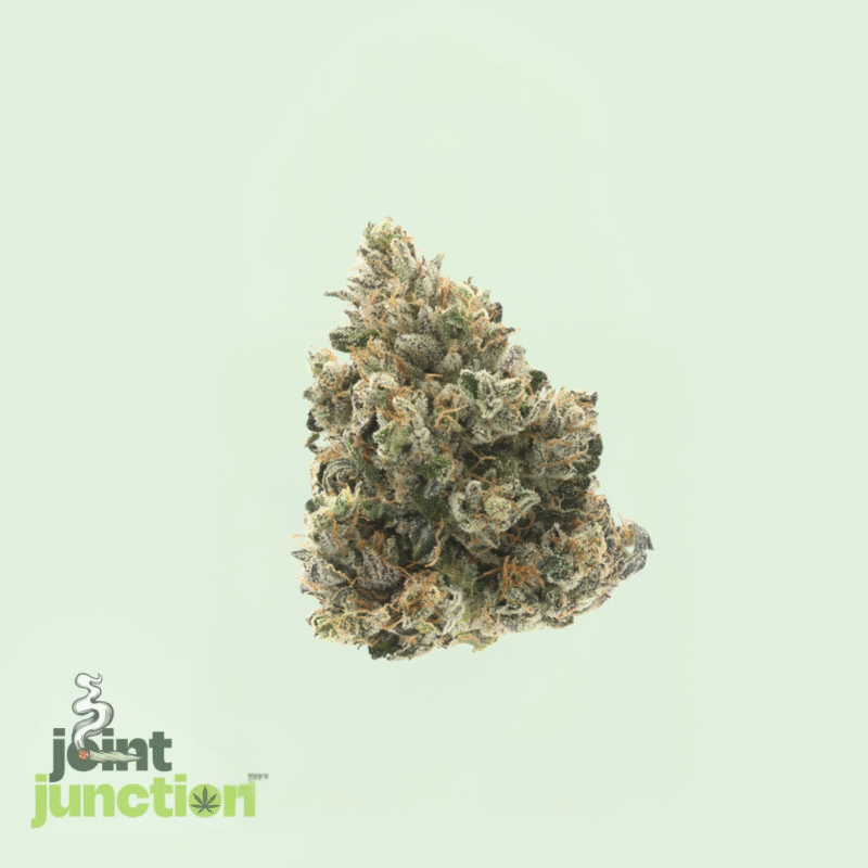Donny Burger - Indica | 29.34% THC [Exotic] - Image 2