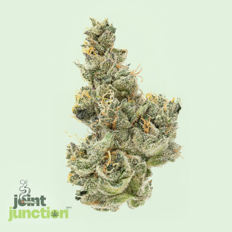 Sour Diesel - Hybrid | 32.18% THC [Exotic]