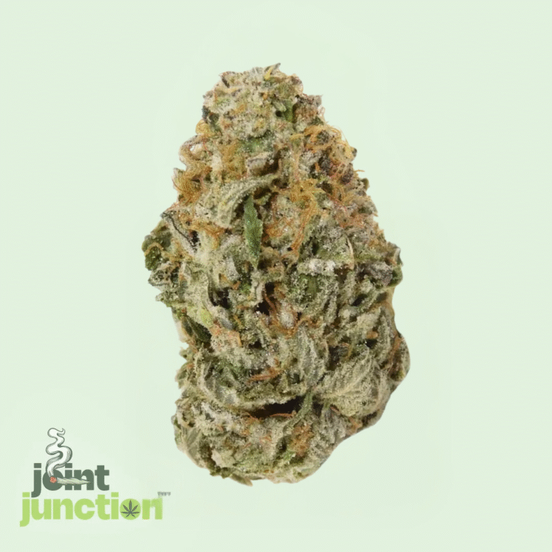 Garlic Breath - Indica | 28.16% THC [Exotic]