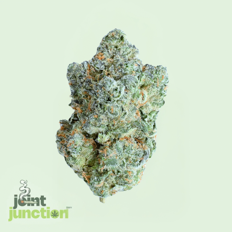Moroccan Peaches - Hybrid | 27.17% THC [Premium]