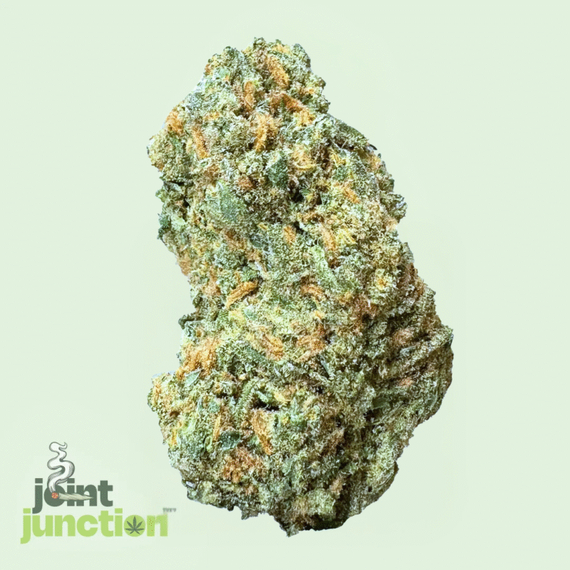 Super Silver Haze - Sativa | 28.77% THC [Exotic]