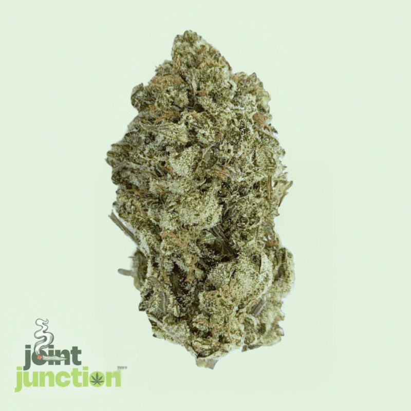 White Truffle - Indica | 23.64% THC [Premium]