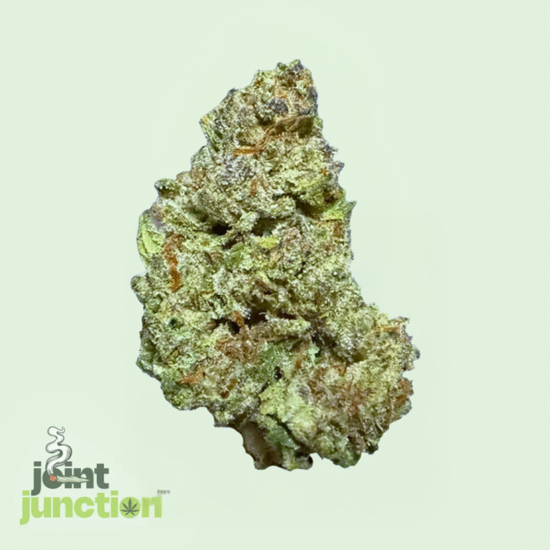 Pandemic Punch - Sativa | 26.29% THC [Exotic]