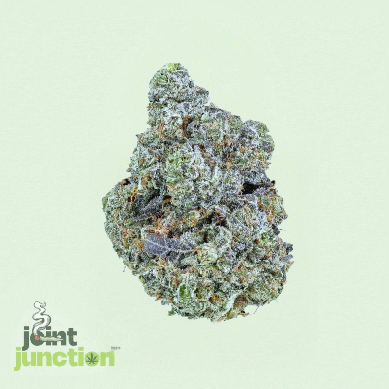 Sherbet – Indica | 25.92% THC [Premium]