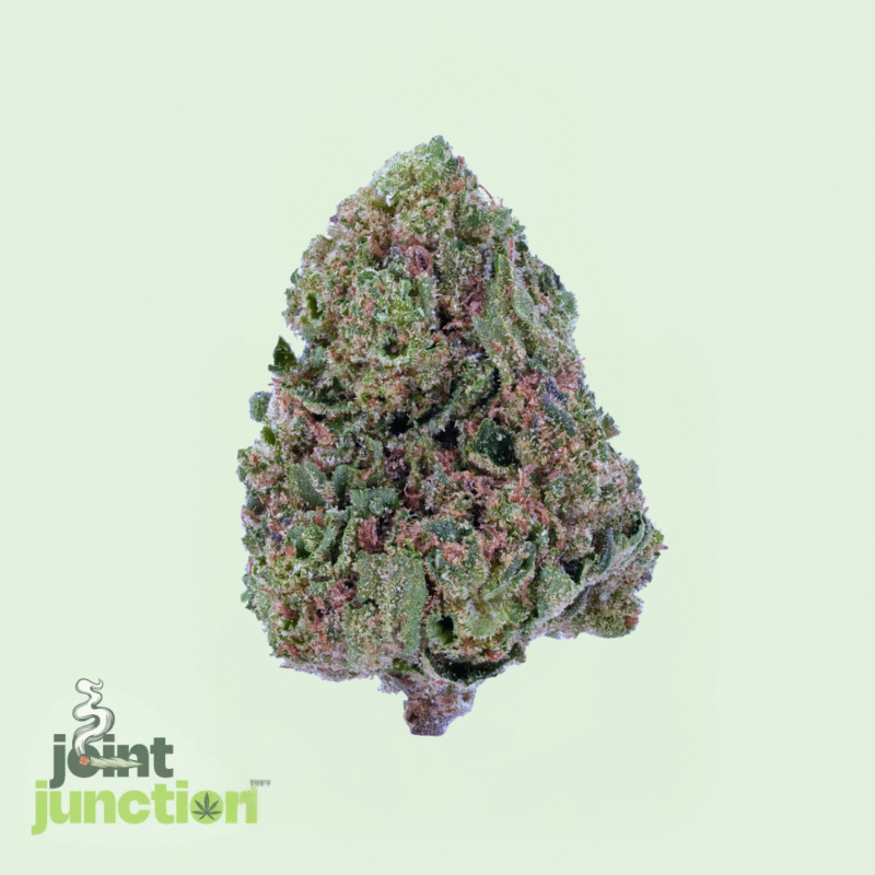 Tangie - Sativa | 28.39% THC [Premium]