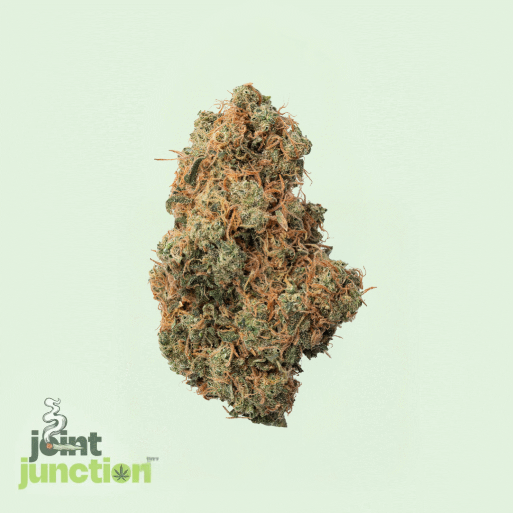 White Widow - Hybrid | 24.63% THC [Exotic]