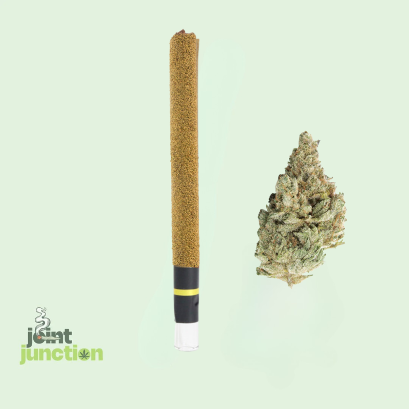 2G Exotic THCA Diamond Blunt | Kiefed | Glass Tip