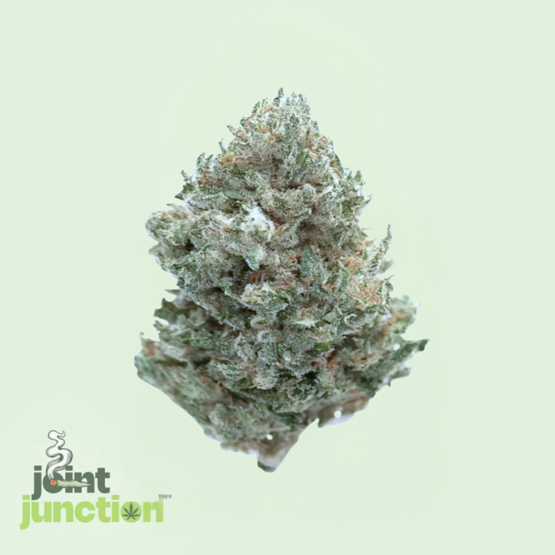 Drippin' Dots - Hybrid | 26.82% THC [SELLOUT]