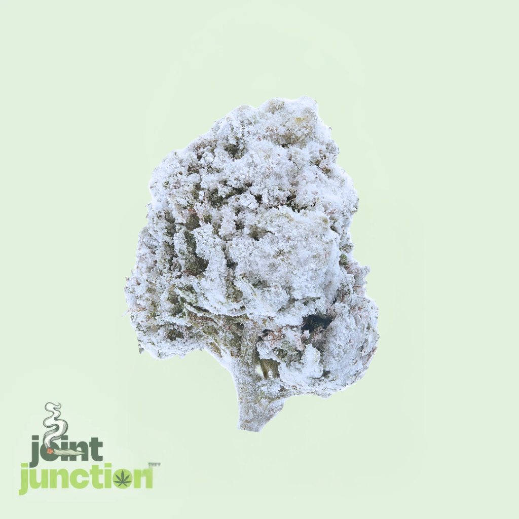 G13 Snowcaps - Indica | 46.52% THC [Top Shelf]