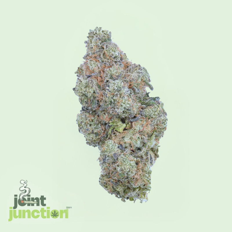 Hashburger - Hybrid | 28.51% THC [Premium]