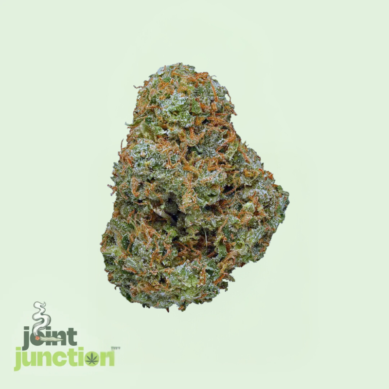 Candy Jack - Sativa | 30.82% THC [Premium]