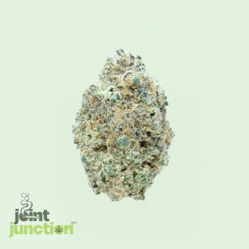 Mimosa - Sativa | 24.29% THC [SELLOUT]