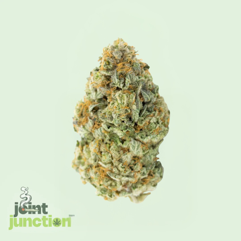 Pineapple Express - Sativa | 24.45% THC [Exotic]