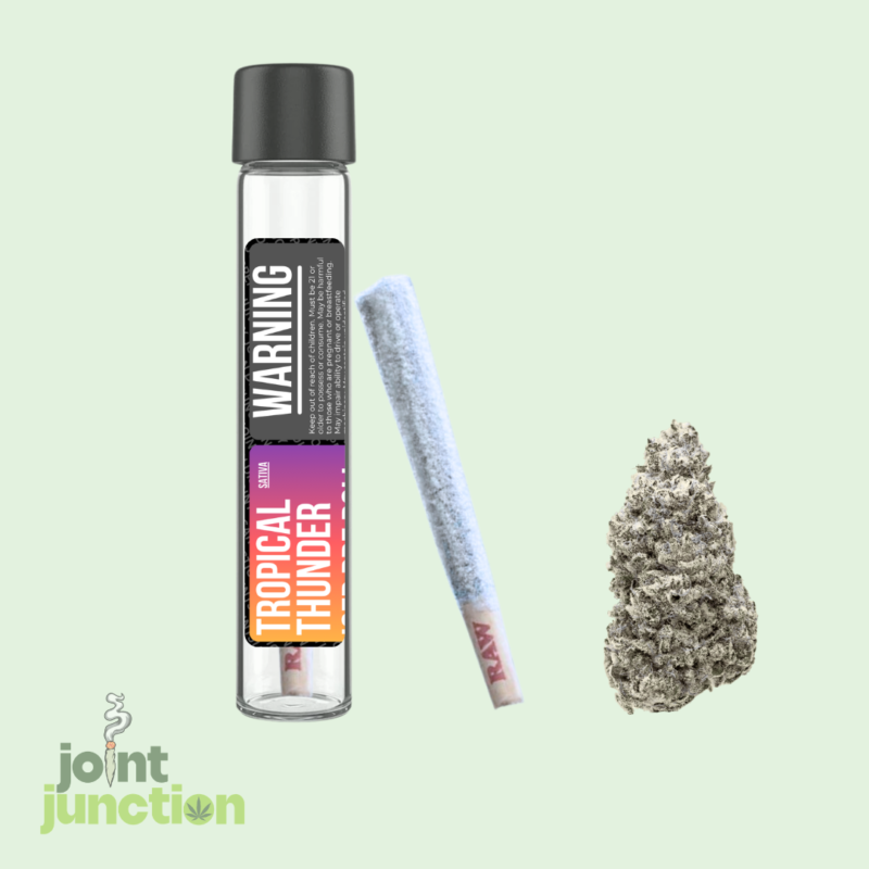 Tropical Thunder Iced Pre Roll | Sativa | 36.49% THC