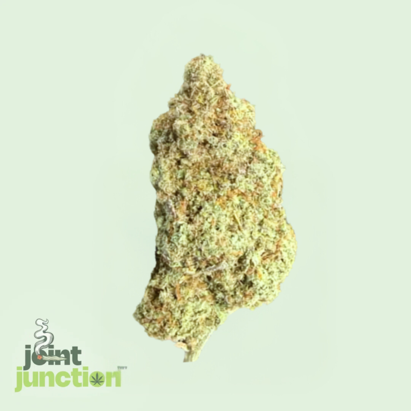 Disco Runtz - Hybrid | 27.38% THC [Exotic]