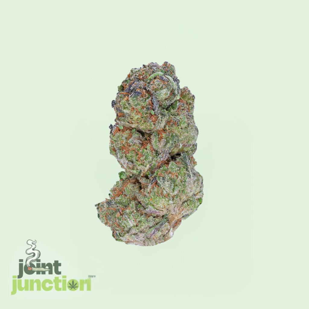 Hella Jelly - Hybrid | 26.43% THC [Premium]