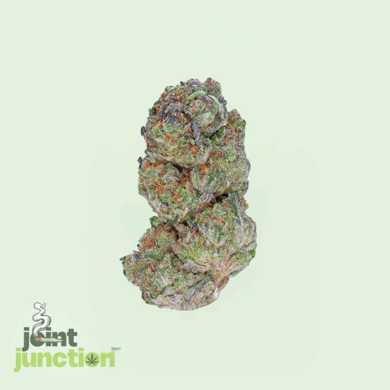 Hella Jelly - Hybrid | 26.43% THC [Premium]