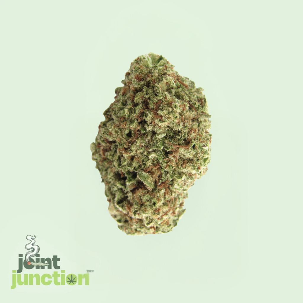 Papaya Punch - Indica | 28.79% THC [Exotic]