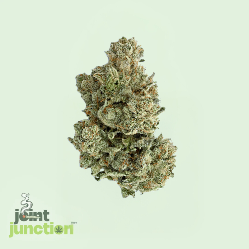 Gorilla Glue #4 - Hybrid | 31.43% THC [SELLOUT]