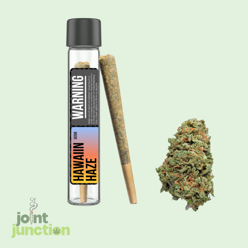 Hawaiian Haze Pre Roll | Sativa | 28.94% THC
