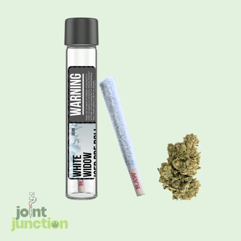 White Widow Iced Pre Roll | Sativa | 42.63% THC