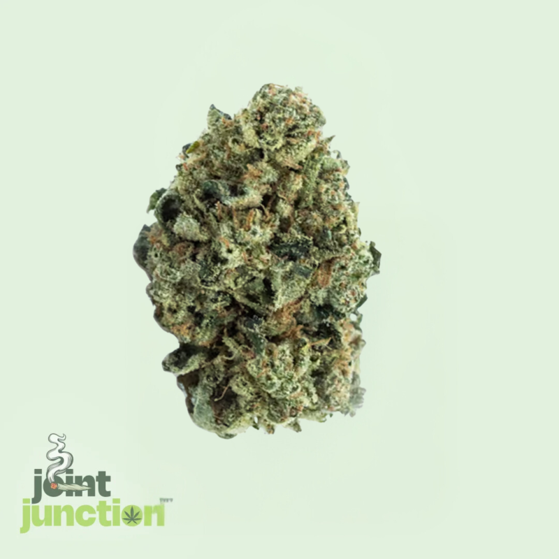 Lemon Cherry Gelato - Hybrid | 30.77% THC [SELLOUT]