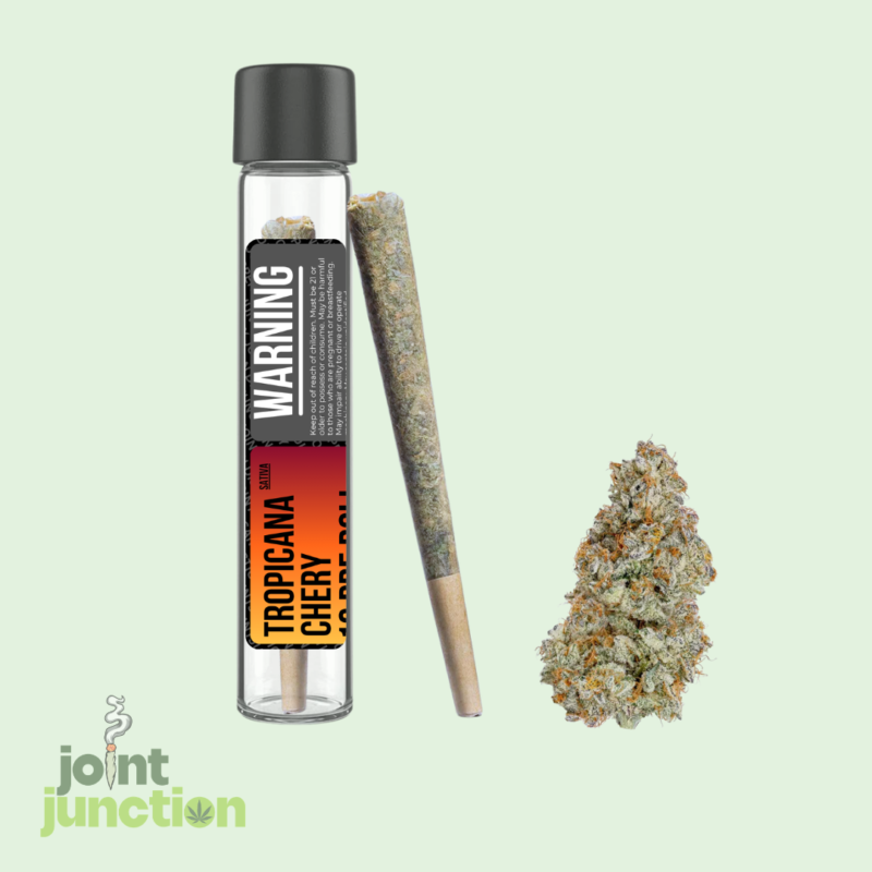 Tropicana Cherry Pre Roll | Sativa | 30.30% THC